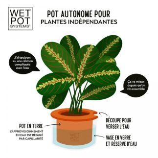 Wetpot Taille L, 25cm, Cache-pot à réserve d'eau, WetPot Systems